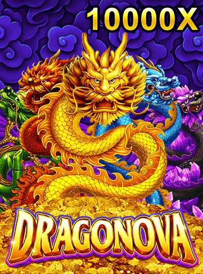vj441